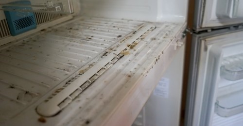 Mould build-up makes the refrigerator smell bad